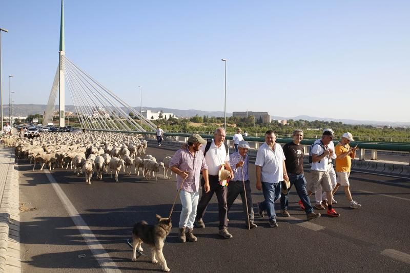 FOTOGALERÍA / Camino de la campiña