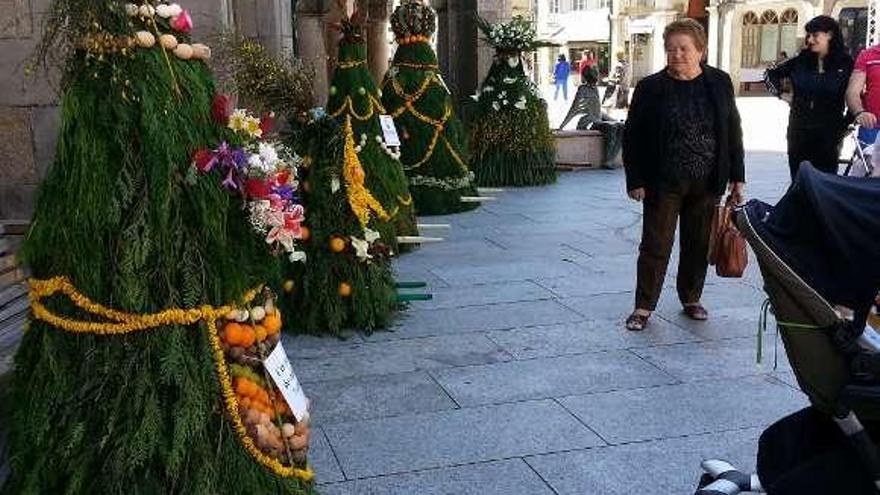 Exposición de los "maios" en la plaza porriñesa. // D.P.