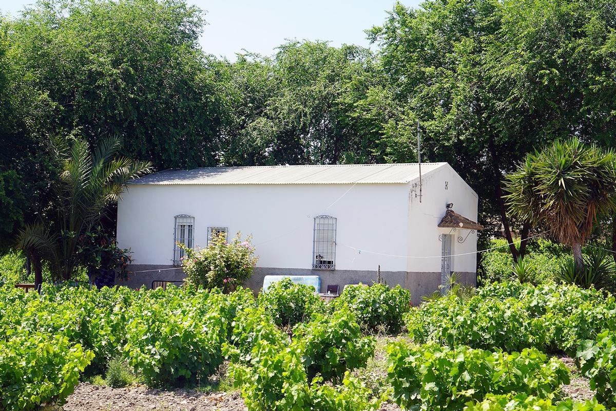 Lugar en el que estaban alojados los temporeros en 2022, año en que se produjo el crimen por el que ahora ha sido condenado el asesino..