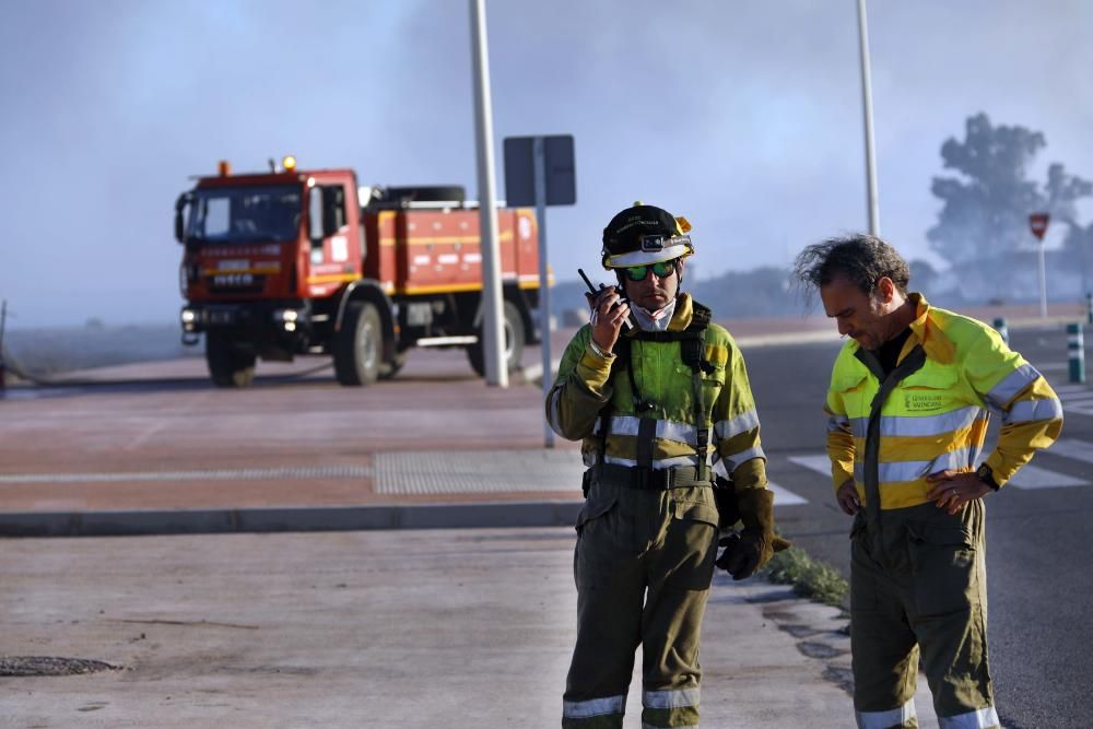 Incendio forestal en el Marjal dels Moros en Sagunt