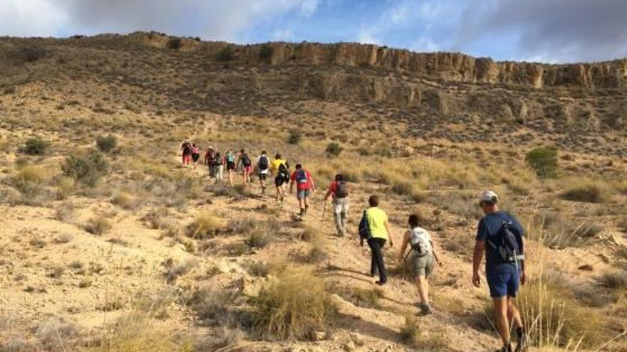 Ruta por El Sabinar y las Minas de Ocre