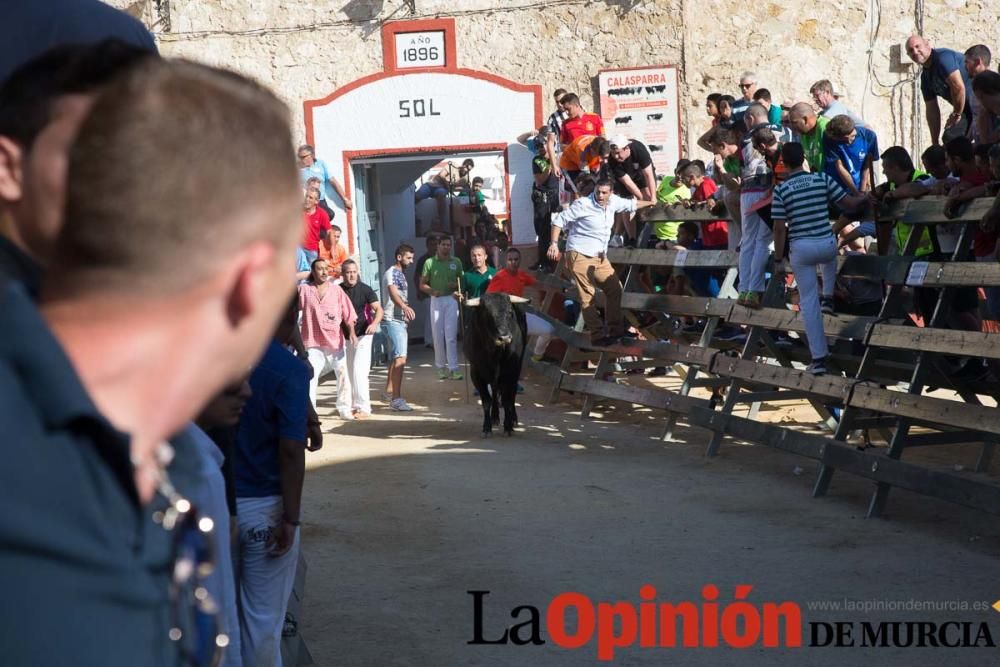 Primer encierro de Calasparra