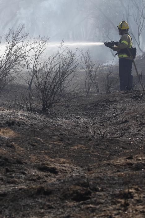 Incendi a al polígon industrial de Maçanet