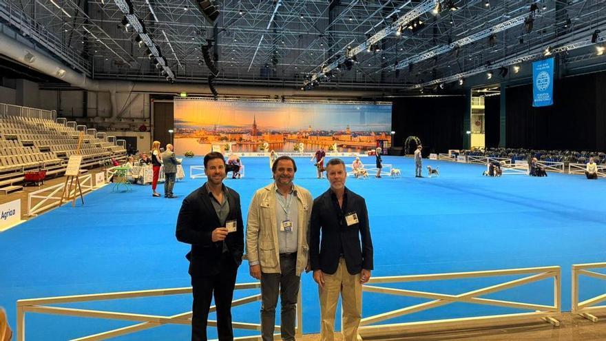 La Región de Murcia recoge el testigo del Campeonato Europeo Canino