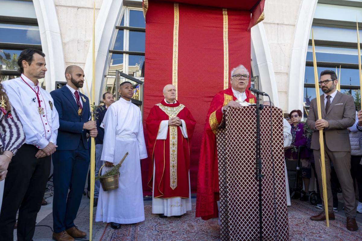 Aquí las imágenes de la Procesión de Las Palmas de Torrevieja 2026 Aquí las imágenes de la Procesión de Las Palmas de Torrevieja 2026