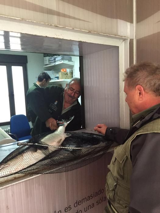 Primer día de la temporada de pesca del salmón. Campanu 2016