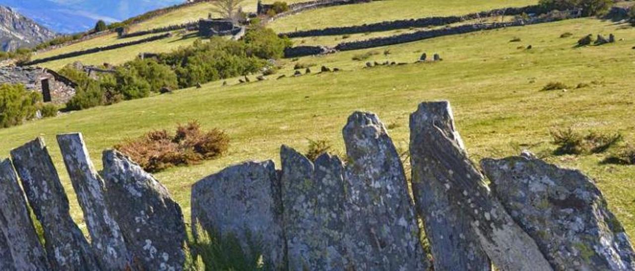 UNO DE LOS MUCHOS RINCONES DE LA BRAÑA DE IS, CON PIEDRAS HINCADAS EN TIERRA SEPARANDO LOS PRADOS Y LAS CABANAS AL FONDO.