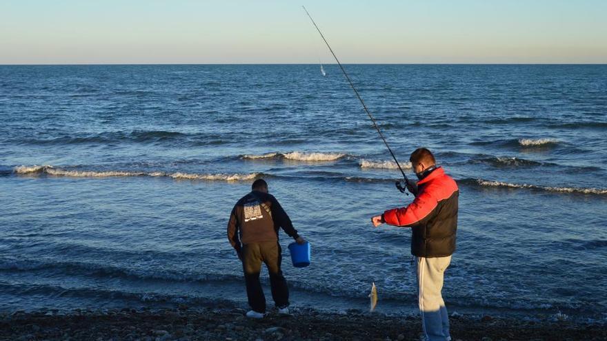 Una excepcional concentración de peces reúne a decenas de pescadores en el Mijares