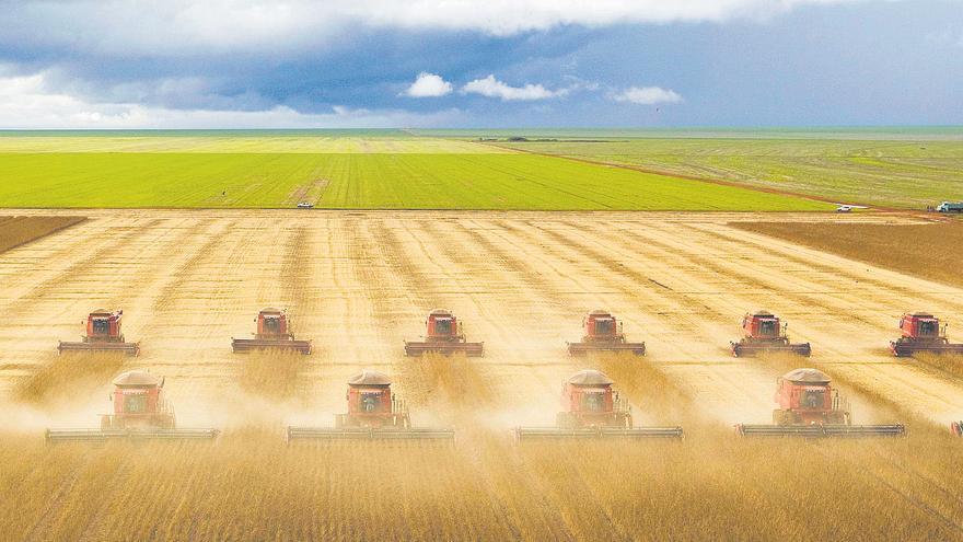 La UPV investiga l’impacte sobre la biodiversitat dels productes agrícoles