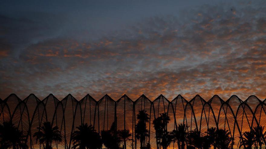 Atardecer en el Umbracle. Foto: F. Bustamante