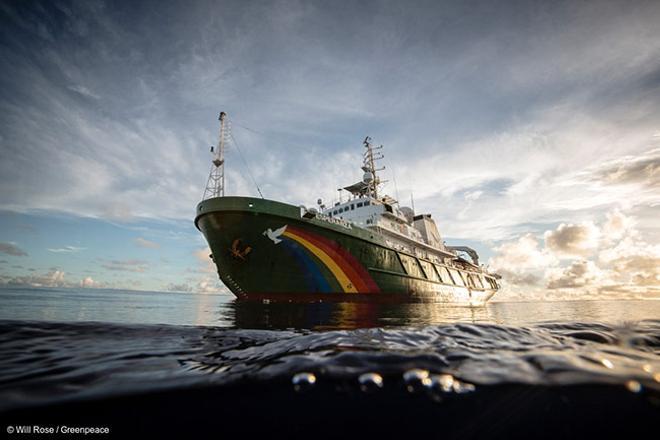 Greenpeace lucha contra la desaparición de la posidonia