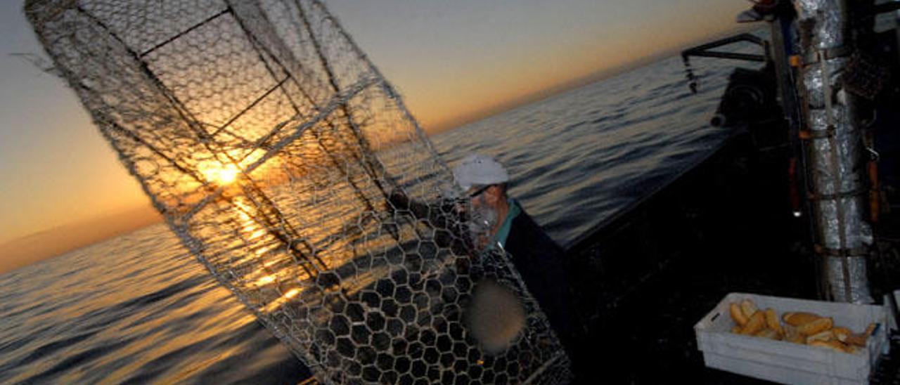 Pescadores profesionales a bordo del pesquero &#039;Nuevo José&#039;.