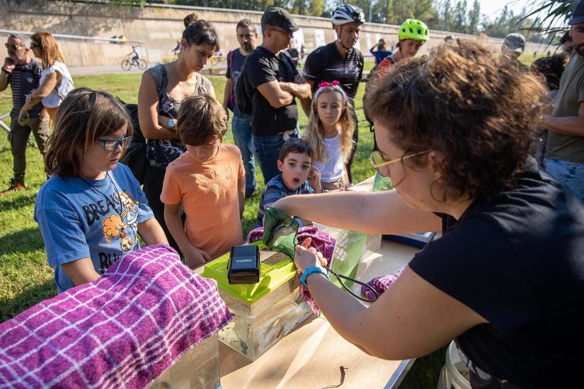 La fiesta de Va de Besòs, en el Parc del Litoral del Besòs