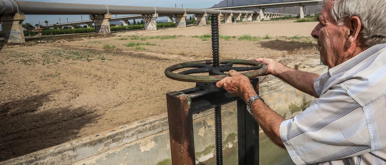 Un agricultor levanta la tapa para que pueda entrar agua del Tajo en su explotación en el Campo de Elche