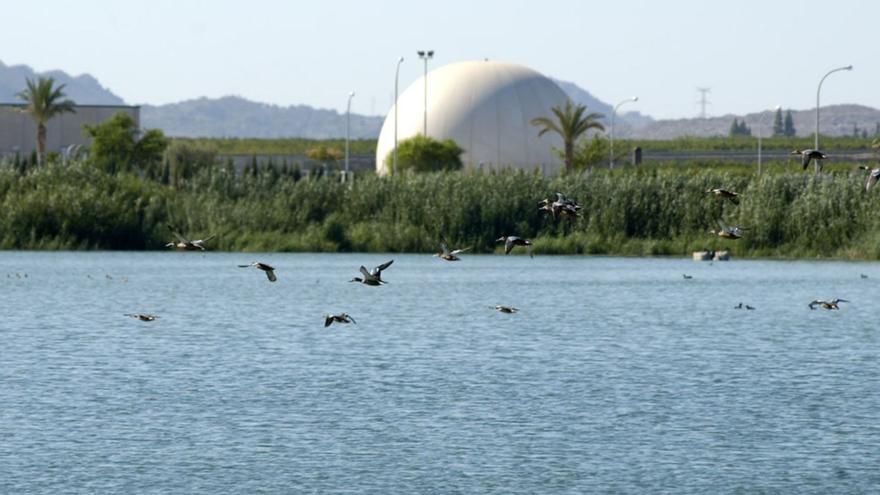 Lagunas de Campotejar, en Molina de Segura.