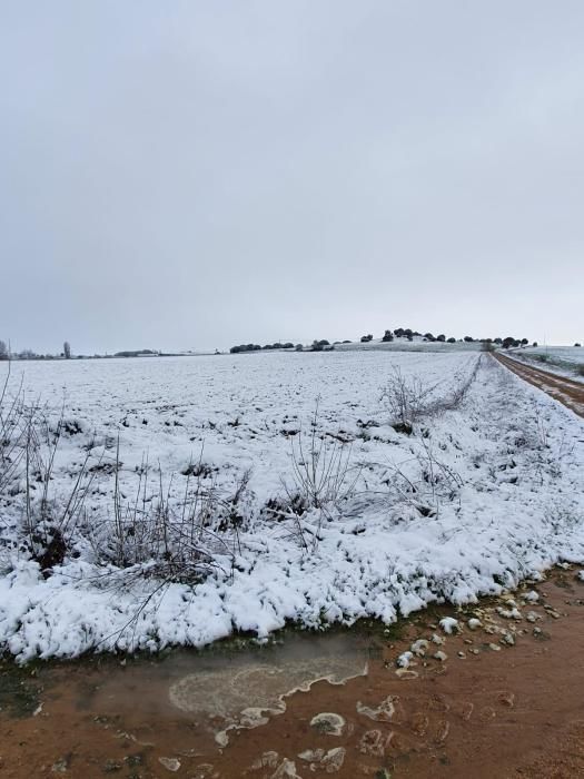 Nieve en Venialbo