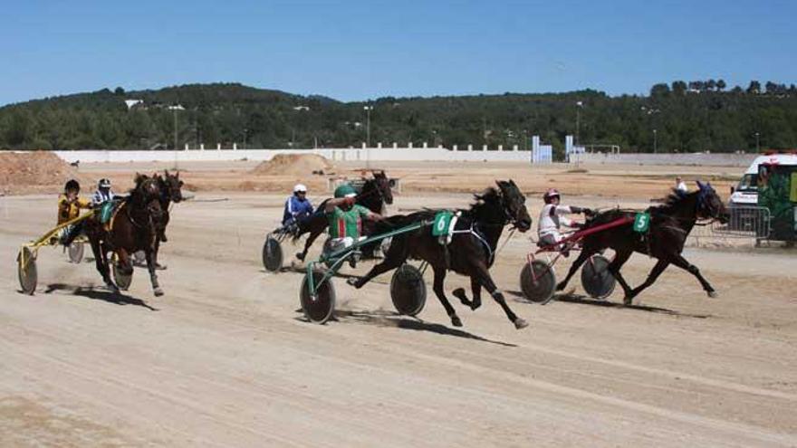 Carrera de trotones en el hipódromo de Sant Rafel.