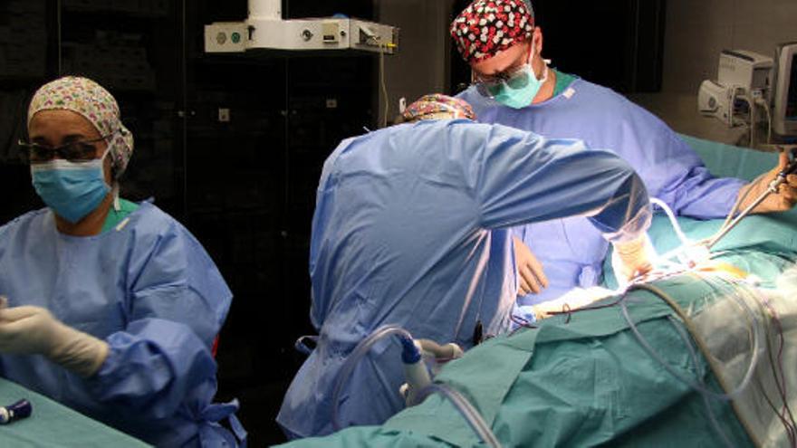 Cirurgia de trasplantament renal a l&#039;Hospital del Mar de Barcelona