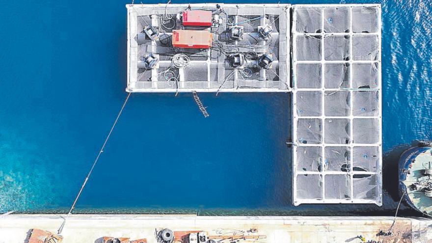 El muelle capitalino de Naos coloca el cuarto de sus siete cajones