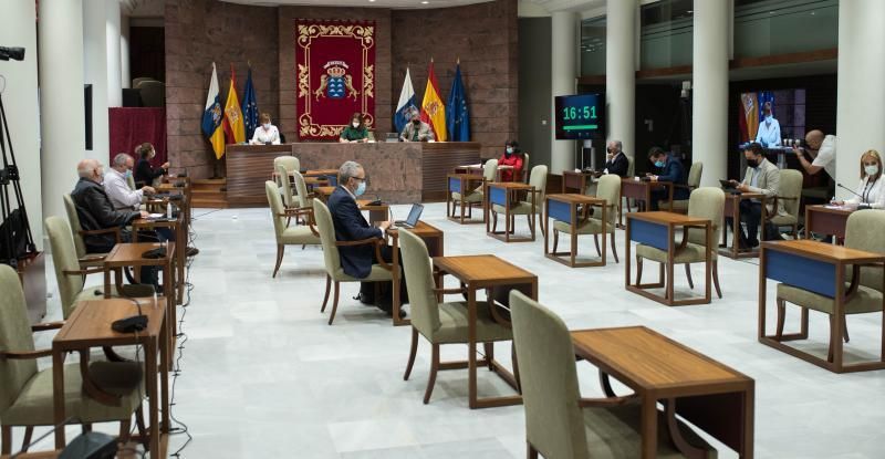 La rectora de la ULL en el Parlamento