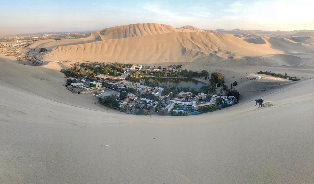 Surfistas por el oasis de Huacachina