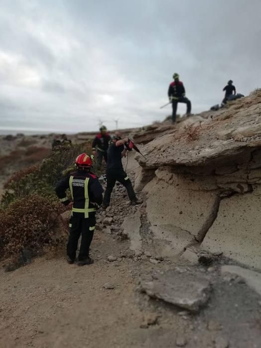 Rescate de perro cazador entaliscado en Abades