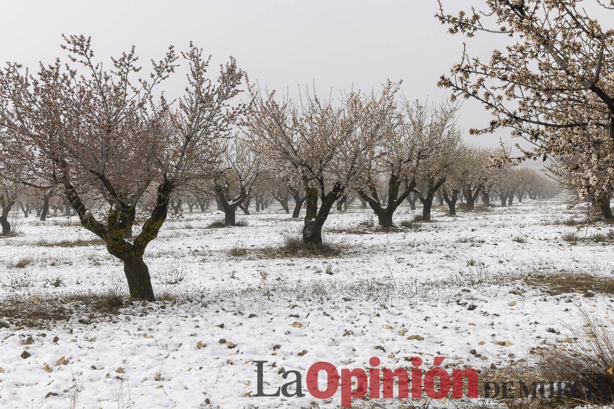 Descubre la última nevada del invierno en las proximidades de Revolcadores en Moratalla