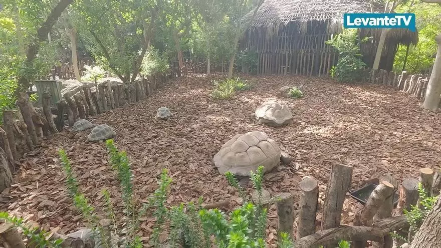 Nueva casa para la segunda tortuga más grande del mundo en BIOPARC Valencia