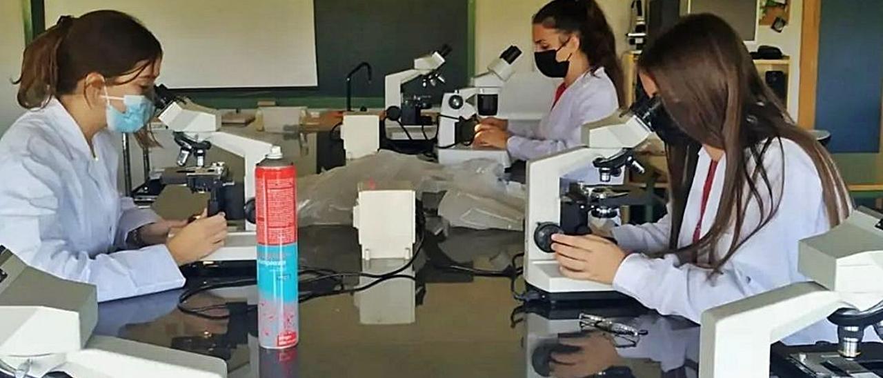 Alumnas del IES La Vall de Segó en clase de Anatomía aplicada. | LEVANTE-EMV