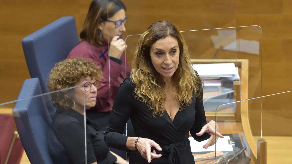 La consellera de Agricultura, Isaura Navarro, interviene en las Corts.