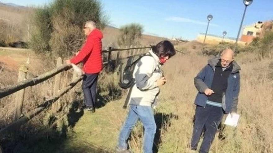 Los investigadores en uno de los paseos de los cuestos examinando la vegetación.