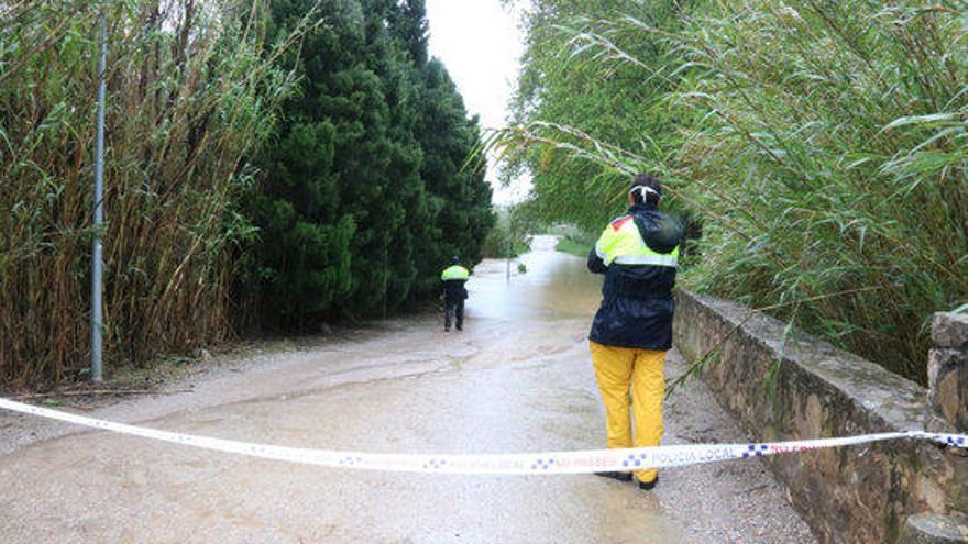 Dos Mossos inspeccionant la mota a la zona del Rec del Molí de Torroella aquest dimecres