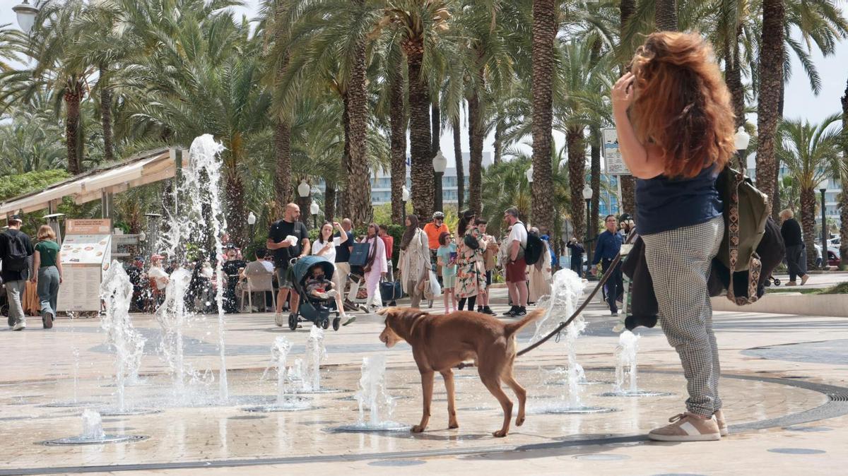 En Alicante se han rondado este miércoles los 25 grados