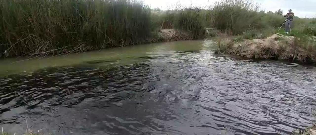 Un vertido oscurece el río Segura y pone en alerta a los agricultores