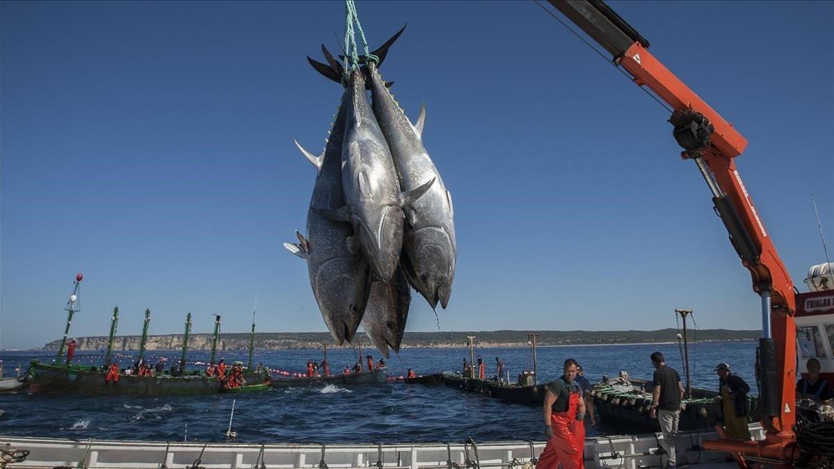 pesca ue y brexit