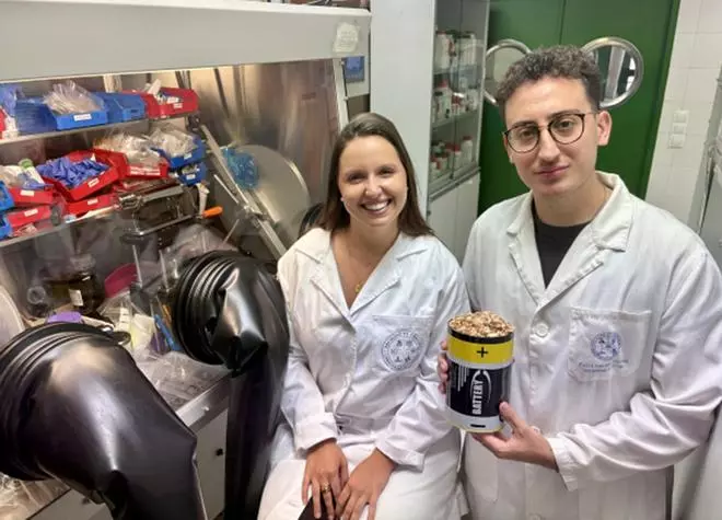 Investigadores de la Universidad de Córdoba crean una batería con cáscaras de pistacho: "Tiene una vida de hasta 1.000 usos de carga y descarga"