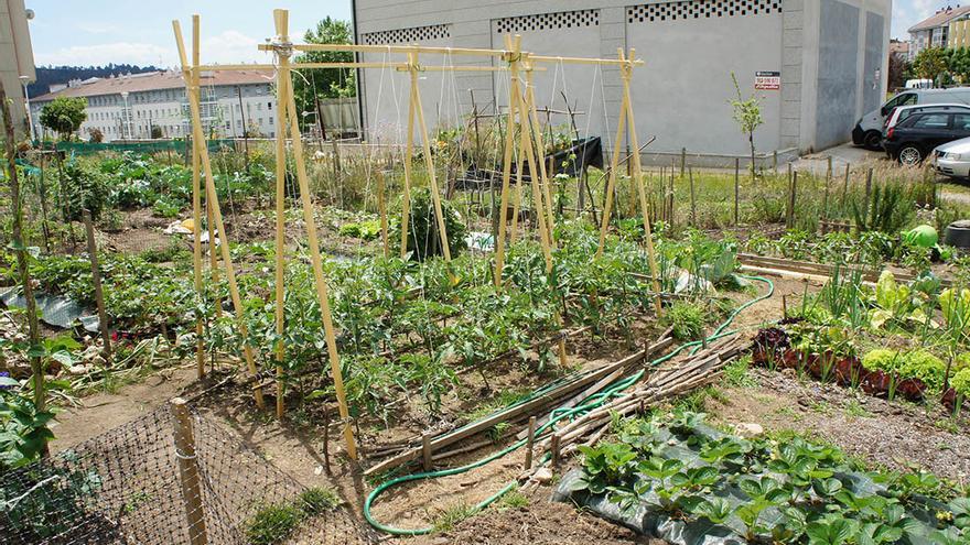 Prazo de solicitude para as hortas urbanas da Almáciga e Fontiñas