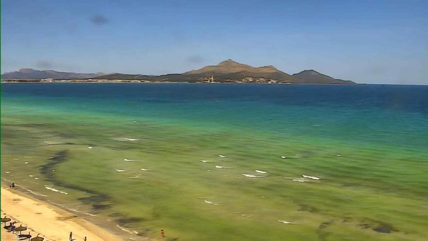 Die Playa de Muro ist noch verhältnismäßig leer.