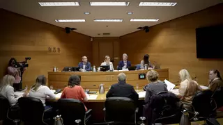 El PP entierra en las Corts los planes del PSPV contra la prostitución