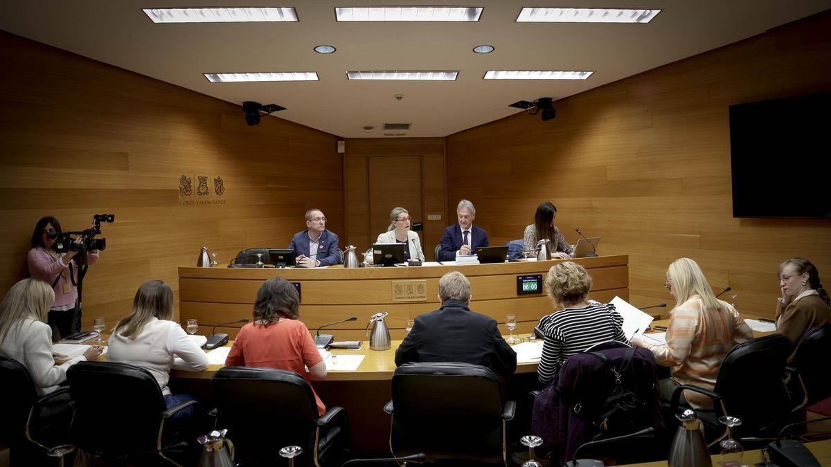 Los diputados acuden a la Comisión de Igualdad de las Corts, este miércoles.