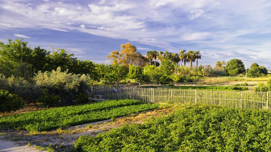 Talleres y rutas para poner en valor el patrimonio de la huerta