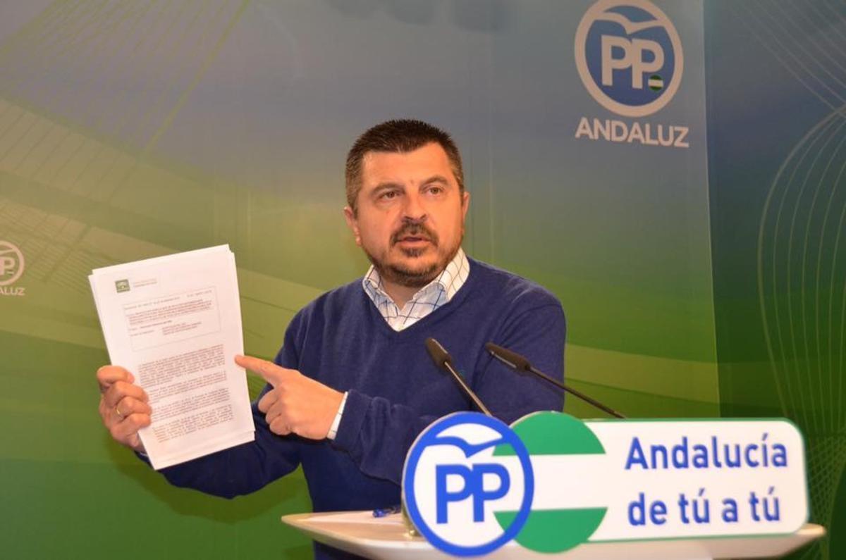 ppandaluz