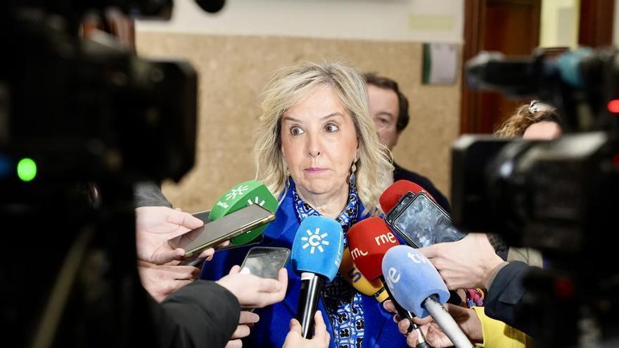 La fiscal superior de Andalucía asegura que tiene "empeño" en que "no se dilate" la causa del accidente ferroviario de Adamuz