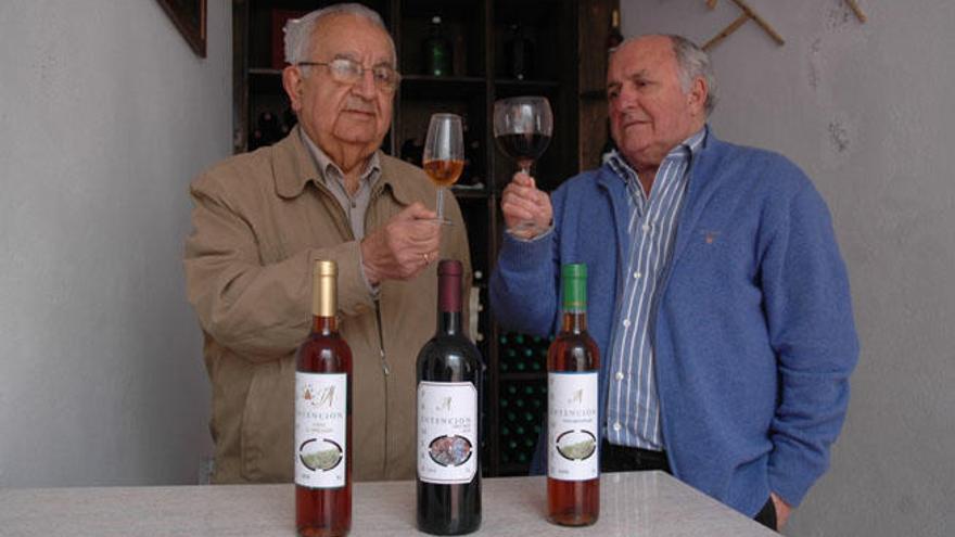 El propietario de Bodegas Molina, José Molina, con el enólogo de la bodega, Ángel Martín, examinan varios vinos.