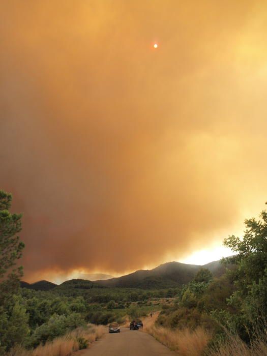 Incendio forestal en Artana