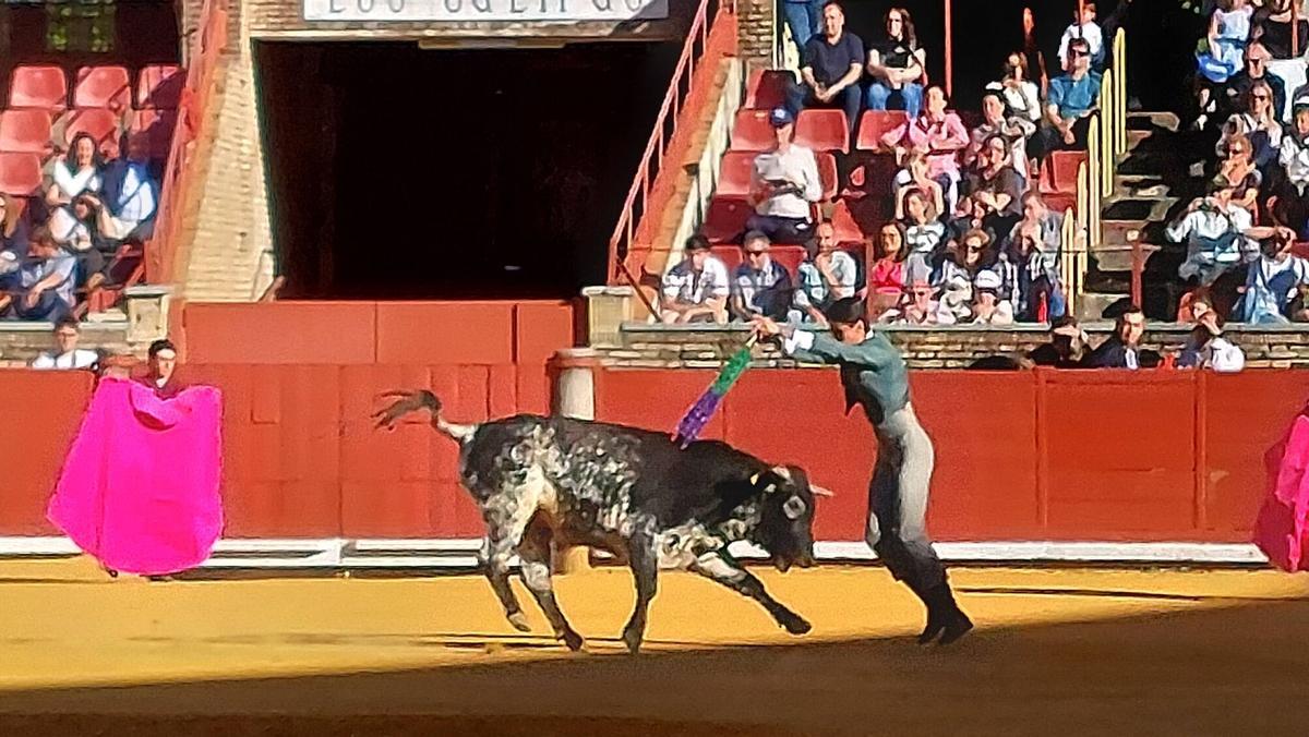 La becerrada homenaje a la afición cordobesa en Los Califas, en imágenes