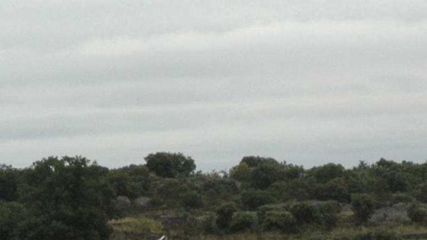 Trabajos en un camino del municipio de Villaflor.