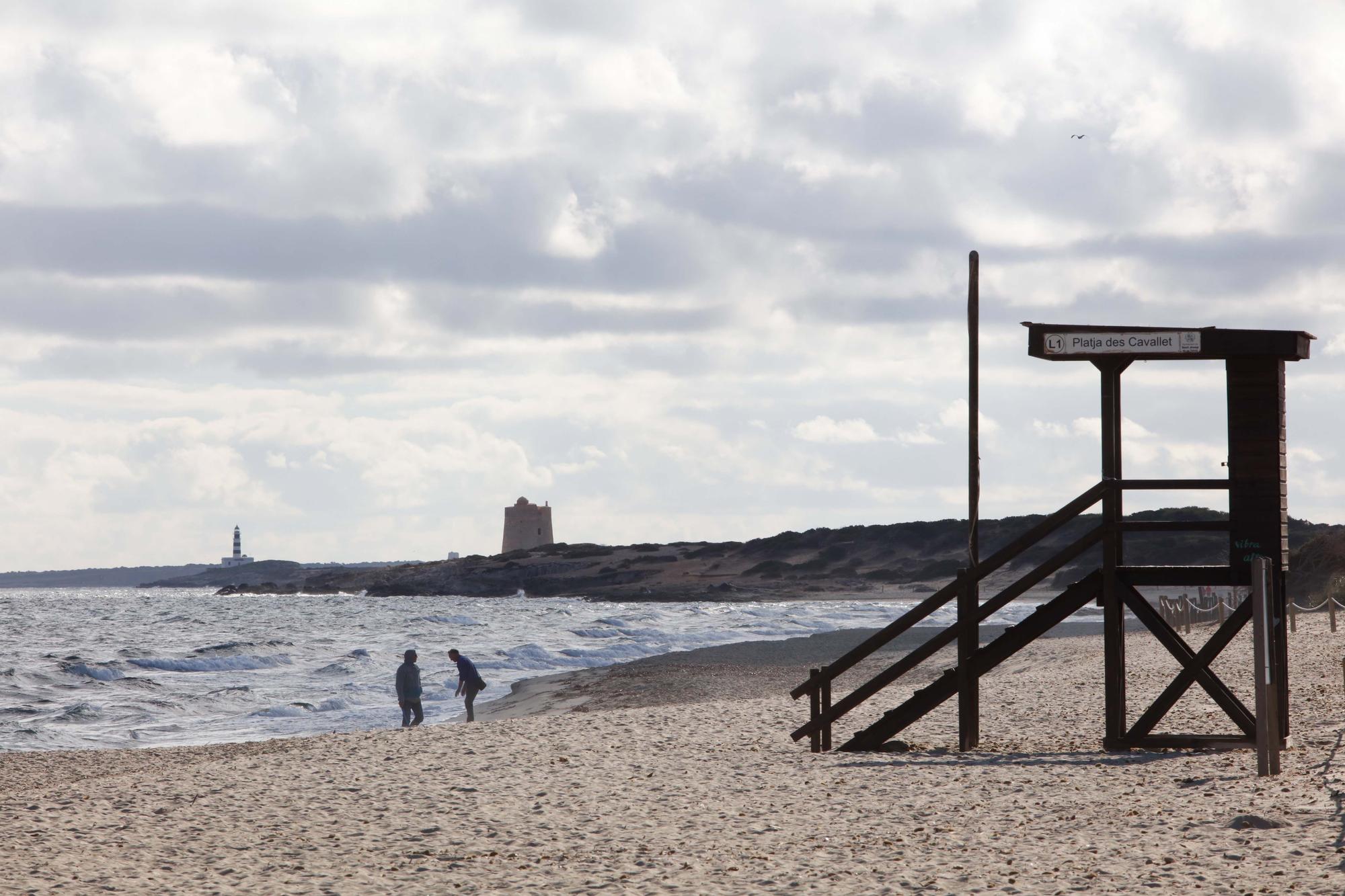 Limpieza de la playa de es Cavallet