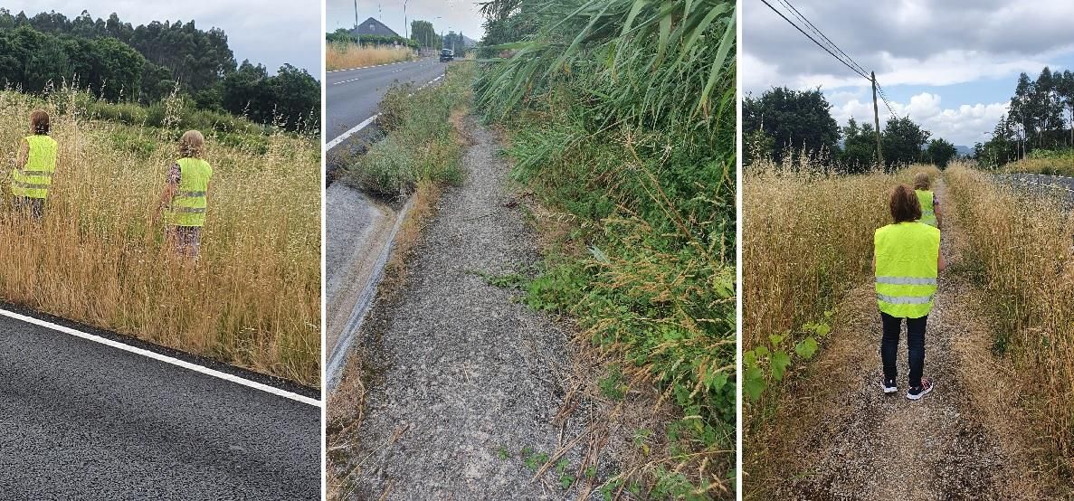 La maleza se apoderó de las aceras y el sendero.