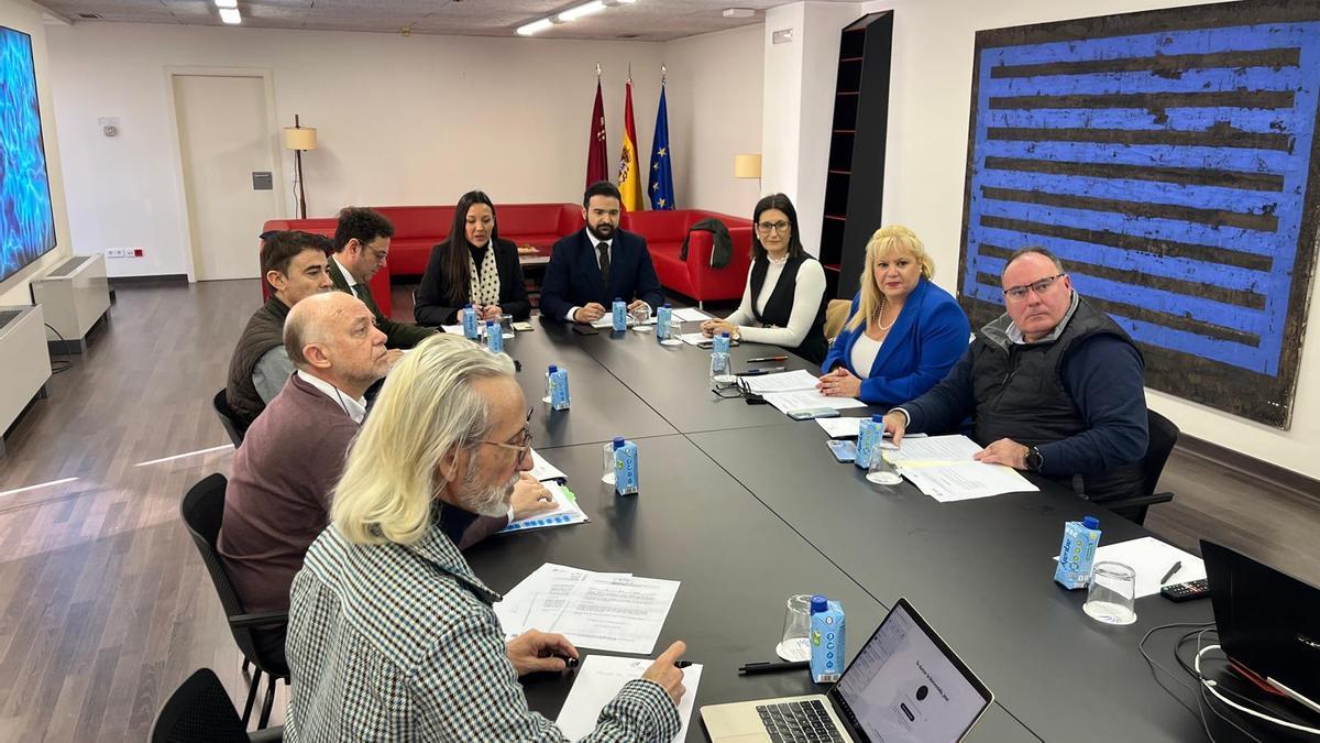 Imagen de la reunión mantenida este miércoles en la Consejería de Cultura.
